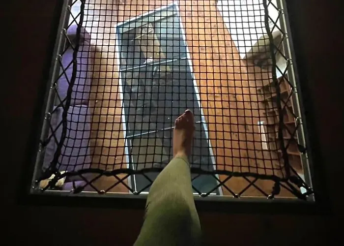 La Dame De Verre