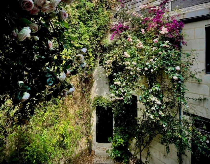 La Dame De Verre Rochefort (Charente-Maritime)